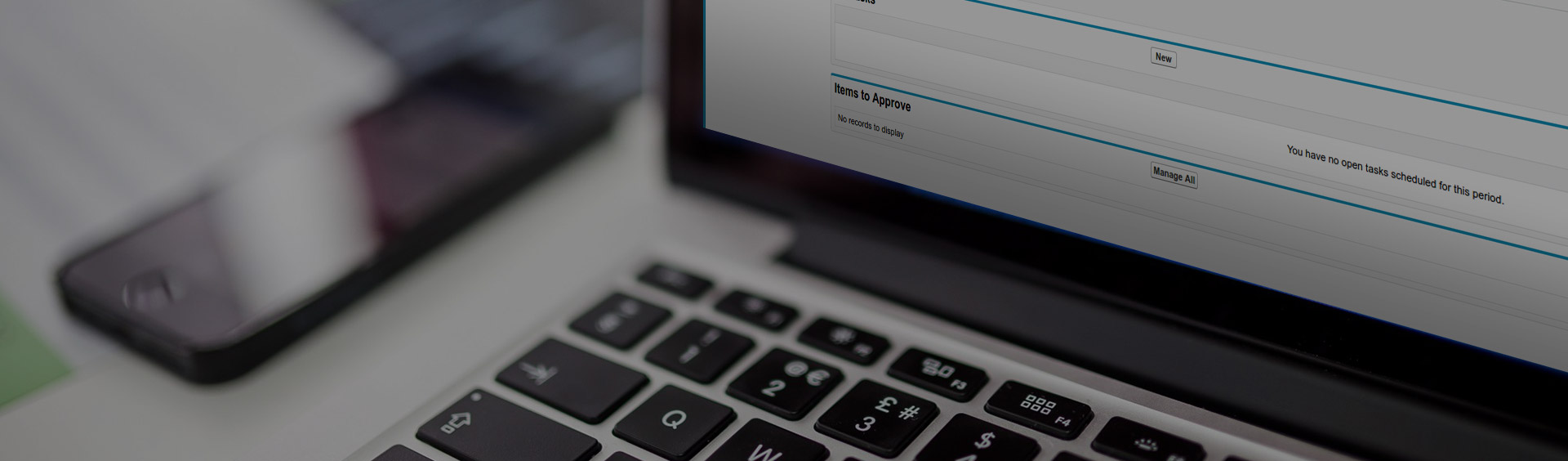 Telephony Integration with Salesforce CRM: Success Story