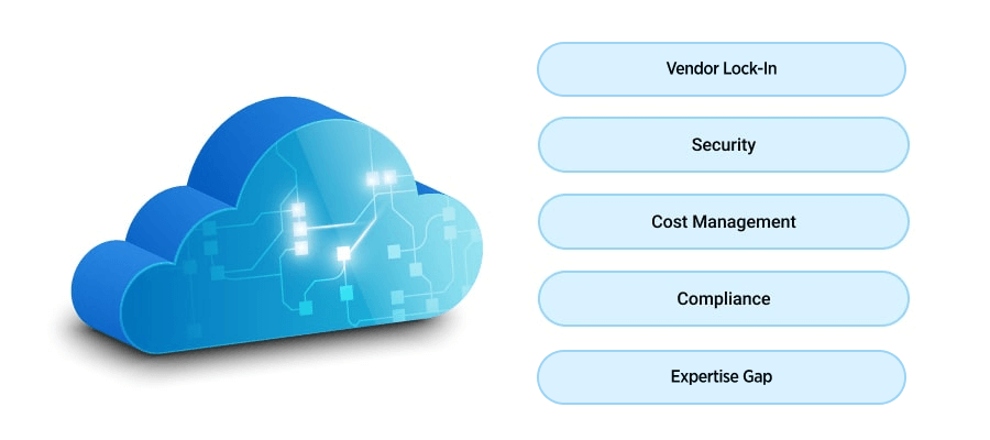 Key Challenges of Cloud Data Management Strategies