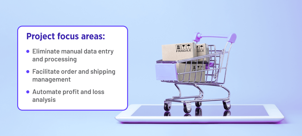 Data Analytics System Development: Project Focus Areas