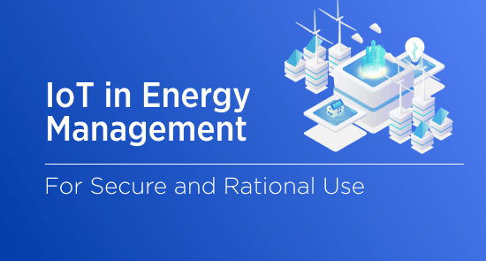 IoT in Energy Management: Enhancing Security and Smart Consumption