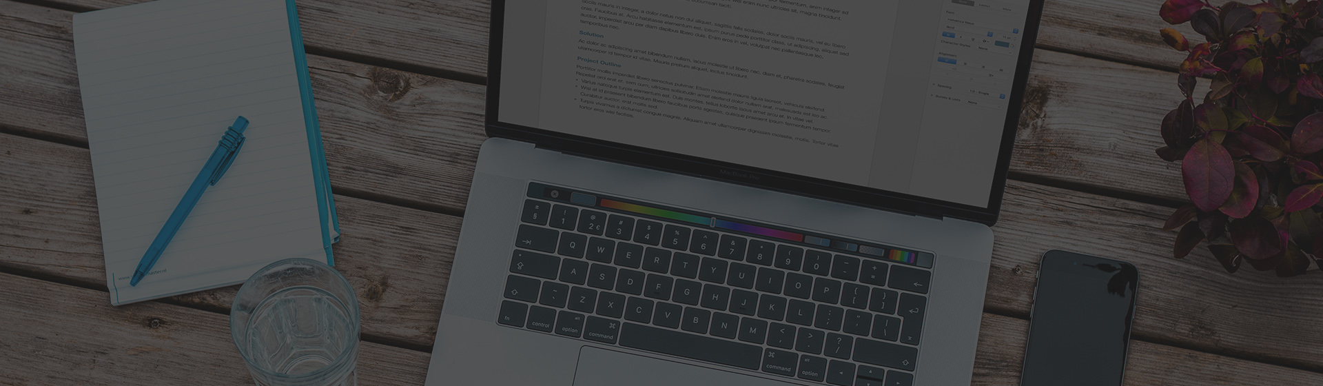 Web Application Development Services