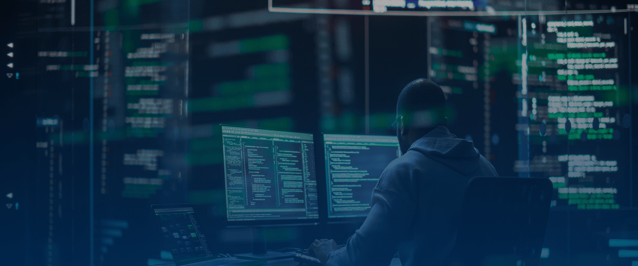 CMS Development Services